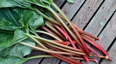 Acetosa per rimuovere i parassiti dal corpo