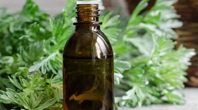 L'uso di wormwood per rimuovere i parassiti dal corpo