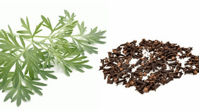 Nelken e Wormwood per rimuovere i parassiti fuori dal corpo
